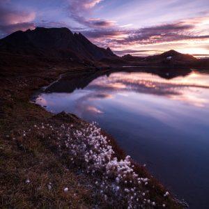 La marche des linaigrettes