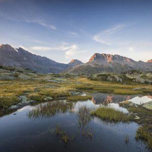 Une légère coloration II