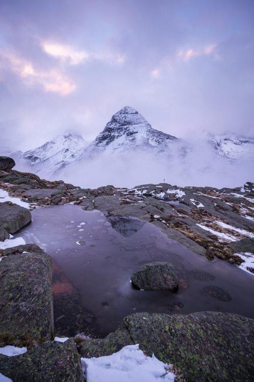 Les lauriers du Mont Seti