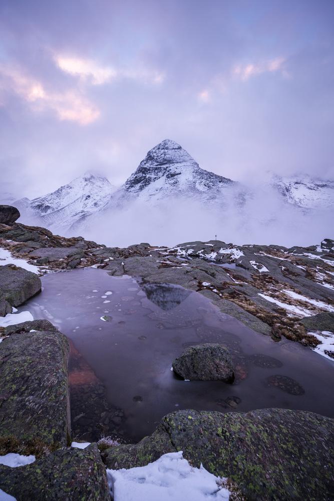 Les lauriers du Mont Seti