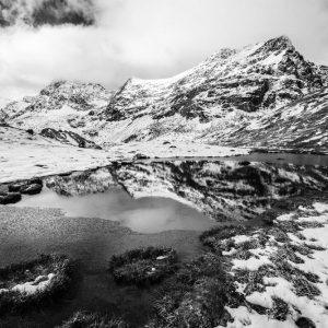 La neige y avait fait son nid