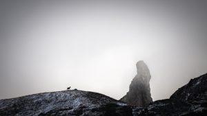 Sur le fil