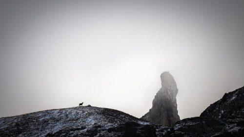 Sur le fil
