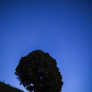 De la pente et des paillettes