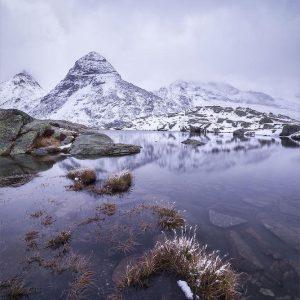 Du givre dans la barbe
