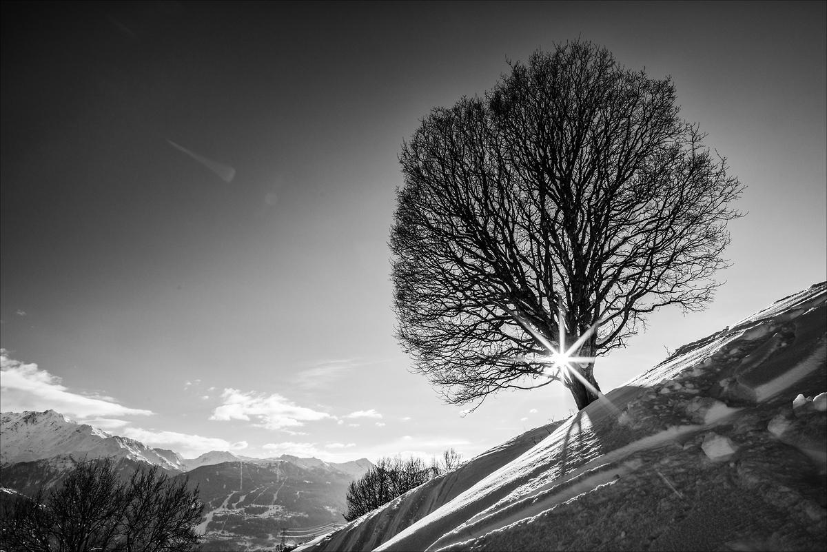 Les pieds dans la meringue